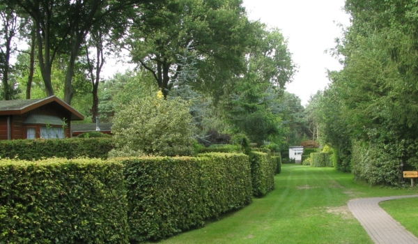 Boshuisje ravenest Putten