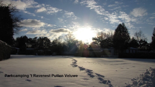 Winter op Parkcamping 't Ravenest