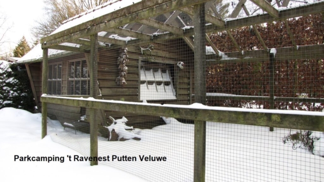 Winter op Parkcamping 't Ravenest
